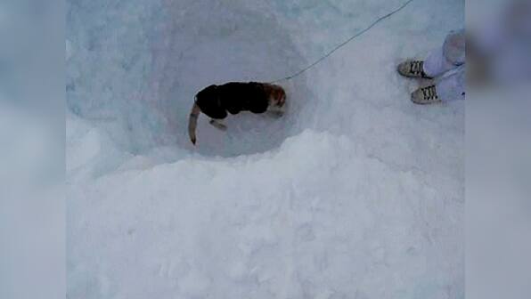 Finding Lance Naik Koppad was 'miraculous': General Hooda optimistic about locating soldiers' bodies in Siachen