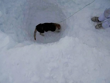 India has lost 869 soldiers in Siachen since 1984: Battle is mostly with the weather India has lost 869 soldiers in Siachen since 1984: Battle is mostly with the weather