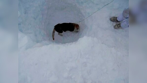 India has lost 869 soldiers in Siachen since 1984: Battle is mostly with the weather