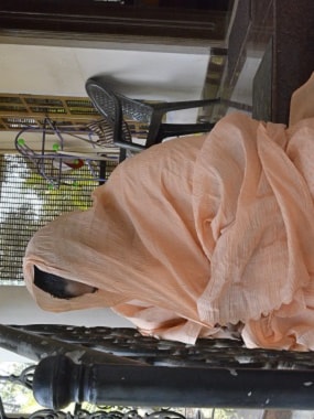 The survivor of the Suryanelli rape. KA Antony
