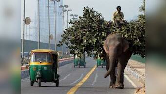 One year on: Why autowallahs may not give Kejriwal or AAP a ride the next time