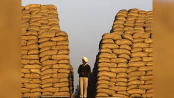 The well-off fattening on subsidies: Is there a coded message in the Economic Survey?