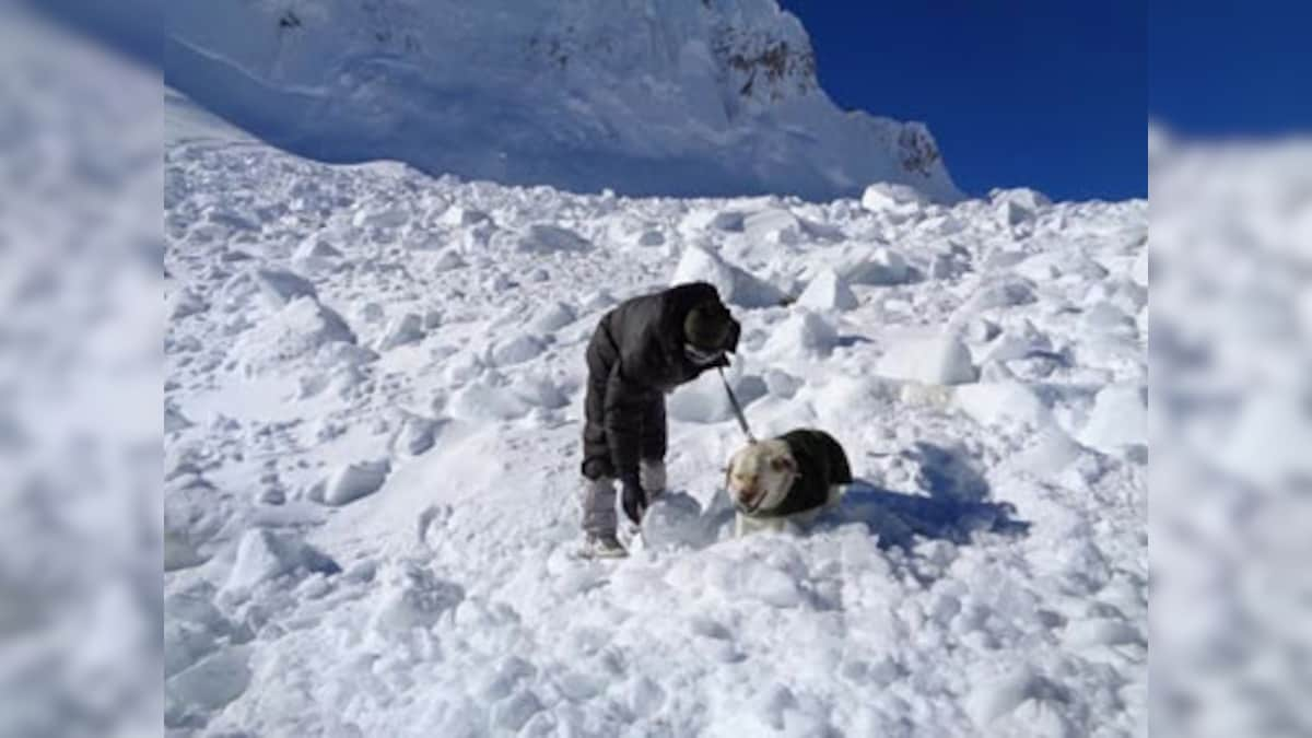 Guarding Siachen has exposed Indian soldiers to deadly avalanches in the Himalayas: Why it's futile to militarise world's highest battlefield