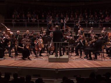 Graphene sheets inspired from moth's eyes could power 'smart wallpapers': Scientists