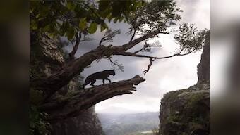 'Jungle, Jungle Baat Chali Hai': Mowgli's old song revived for 'The Jungle Book' film