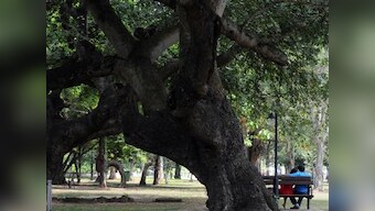 Sri Lanka govt fires security official over shooing off unmarried couples holding hands