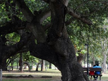 Sri Lanka govt fires security official over shooing off unmarried couples holding hands Sri Lanka govt fires security official over shooing off unmarried couples holding hands