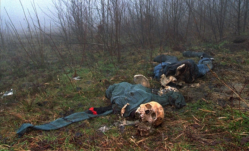 Butcher of Bosnia Radovan Karadzic sentenced to 40 years imprisonment: Heres a look at what hes been charged with