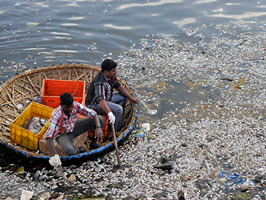 Cauvery issue: The shocking story of Bengaluru's dried up '1,000 lakes' Cauvery issue: The shocking story of Bengaluru's dried up '1,000 lakes'