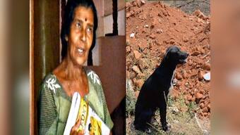 Animal cruelty: Woman in Bengaluru flung 8 puppies on a boulder to teach mother a lesson