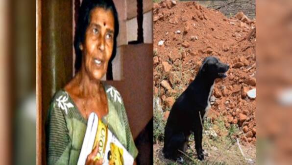 Animal cruelty: Woman in Bengaluru flung 8 puppies on a boulder to teach mother a lesson