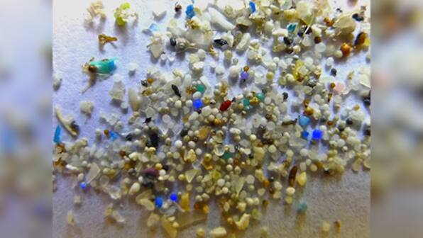 The Maneka Gandhi column: Say no to microbeads, the single biggest killers on the planet