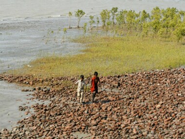 Mangrove plantations near Moushuni island, which is a part of the Sunderbans national park. REUTERS