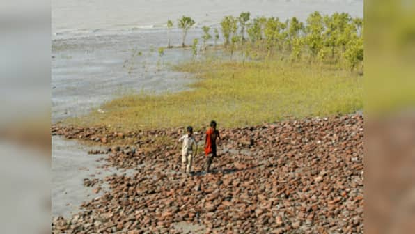 Hundreds march against Indo-Bangla power plant from Dhaka to Sundarbans