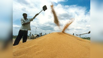 Govt eyes record 285.2 MT foodgrain output in 2018-19 despite deficit rains so far this monsoon