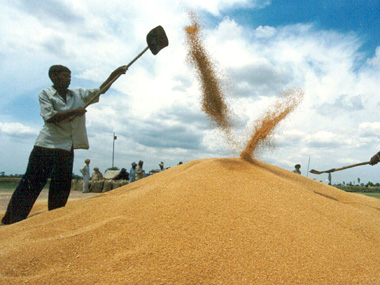 Crop damage: Minister Radha Mohan Singh slams Assocham's 'incorrect' data Crop damage: Minister Radha Mohan Singh slams Assocham's 'incorrect' data