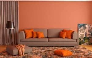 Image Courtesy: Nerolac Paints