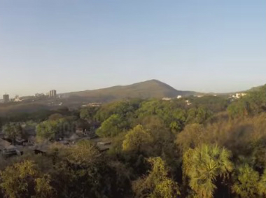 Bombay HC refuses to declare Mumbai’s Aarey Colony a forest, dismisses petitions against felling of 2,700 trees Bombay HC refuses to declare Mumbai’s Aarey Colony a forest, dismisses petitions against felling of 2,700 trees