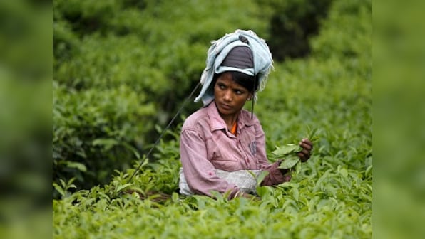 West Bengal tea workers' strike: Trade unions demand minimum wage; protests spread to Jalpaiguri, Darjeeling
