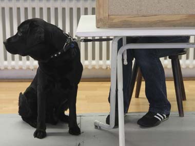 Barking up the wrong tree: Sniffer dogs at UK airport find sausages, not drugs Barking up the wrong tree: Sniffer dogs at UK airport find sausages, not drugs