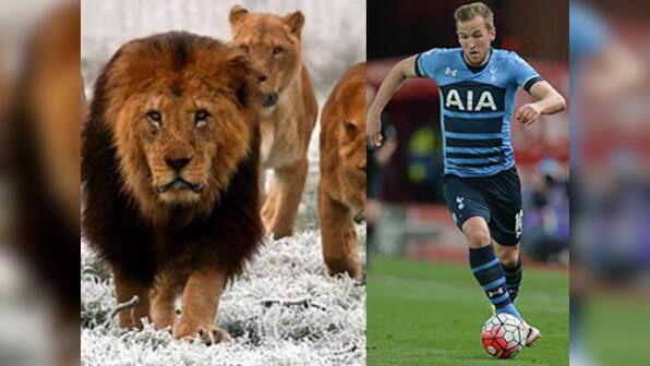 Watch out, Leicester! Tottenham's Harry Kane fires warning shot with cryptic Instagram post