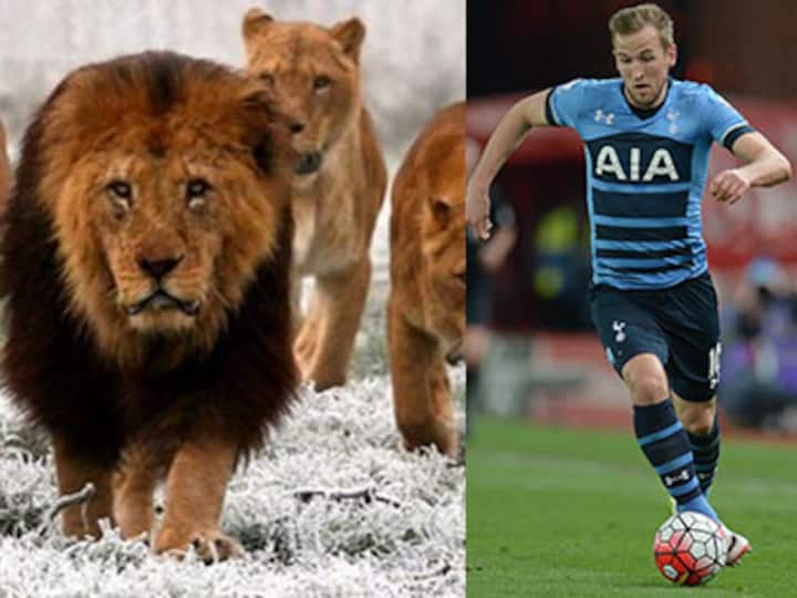 Watch out, Leicester! Tottenham's Harry Kane fires warning shot with cryptic Instagram post