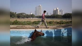 The answer to 2000-year old questions about Carthaginian army leader Hannibal? Horse poo