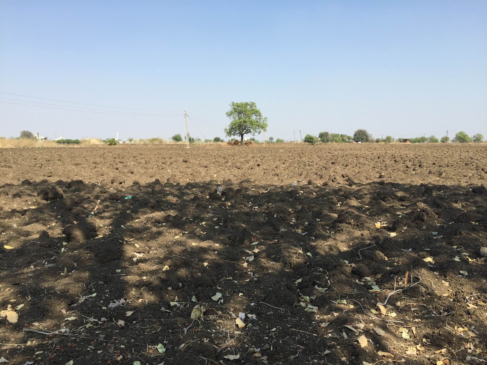Marathwada's drought: Dry lands, economic deprivation shrinking opportunities, driving ...3264 x 2448