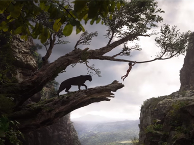 Great news! 'The Jungle Book' will have a sequel, directed again by Jon Favreau Great news! 'The Jungle Book' will have a sequel, directed again by Jon Favreau