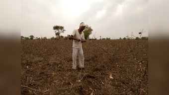 Marathwada faces acute water scarcity, farm distress; farmers, local activists ask govt to declare drought