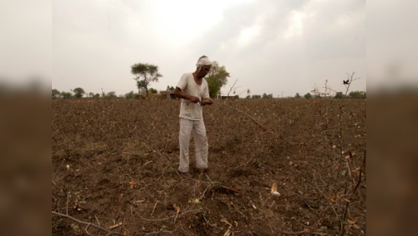 Marathwada faces acute water scarcity, farm distress; farmers, local activists ask govt to declare drought