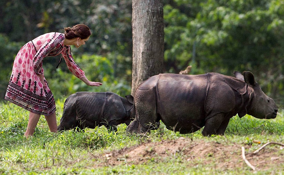Kate pets a rhino calf during a visit to the Centre for Wildlife Rehabilitation and Conservation (CWRC) near Kaziranga National Park. PTI Photo Kate pets a rhino calf during a visit to the Centre for Wildlife Rehabilitation and Conservation (CWRC) near Kaziranga National Park. PTI Photo