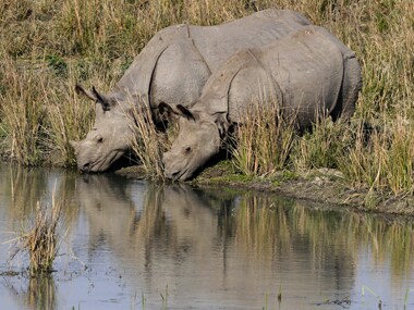 Representational image. AFP