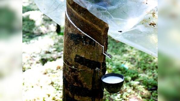 India's January natural rubber imports drop 4.8% to 39,997 tonnes as local demand from tyre makers softens: Board