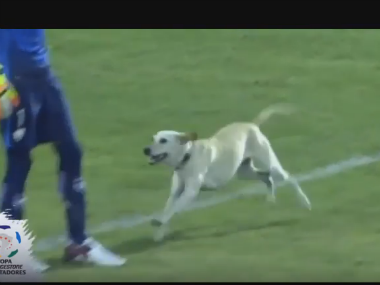 This is what happiness looks like. Screenshot from YouTube video
