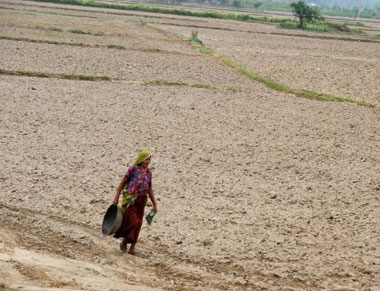 Drought in the Western Ghats Part 6: Tamil Nadu's over-dependence on ground water has left it parched Drought in the Western Ghats Part 6: Tamil Nadu's over-dependence on ground water has left it parched