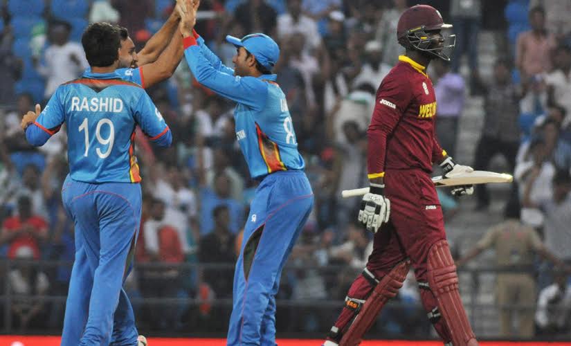 Darren Sammy walks back after getting dismissed during West Indies vs Afghanistan match. Solaris Images