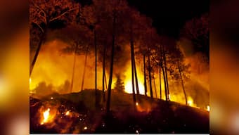 Uttarakhand forest fire: Timber mafia, climate change behind the blaze, say reports