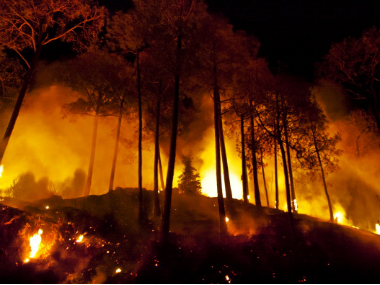 Portugal forest fire kills at least 24, injures 20, death toll likely to rise Portugal forest fire kills at least 24, injures 20, death toll likely to rise