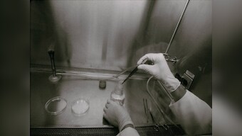 Organ transplant from animals may increase life span of humans but could risk quality of health
