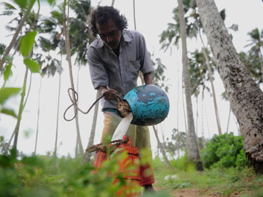 Declare your stand on toddy ban: Tamil Nadu body asks DMK and AIADMK Declare your stand on toddy ban: Tamil Nadu body asks DMK and AIADMK