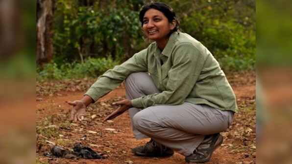 Burning bright: Award-winning ecologist Uma Ramakrishnan speaks of her tiger conservation work