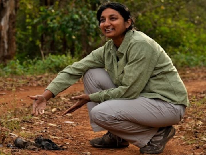 Burning bright: Award-winning ecologist Uma Ramakrishnan speaks of her tiger conservation work