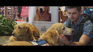 Meet Pepe and Sunshine - The resident psychologists at the Mumbai Int'l Airport