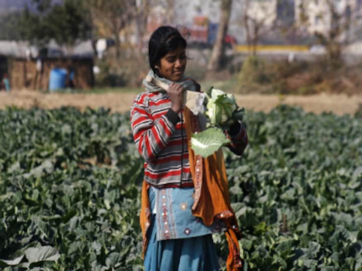 Women living around natural vegetation live longer, finds new study