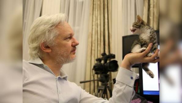 Look what the cat dragged in: WikiLeaks' Julian Assange has a new companion