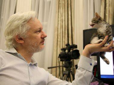 Look what the cat dragged in: WikiLeaks' Julian Assange has a new companion