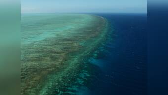Loss of coral reefs would double coastal flood damage, say researchers