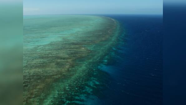 Loss of coral reefs would double coastal flood damage, say researchers