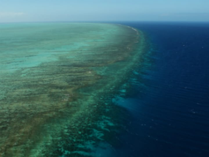 Loss of coral reefs would double coastal flood damage, say researchers